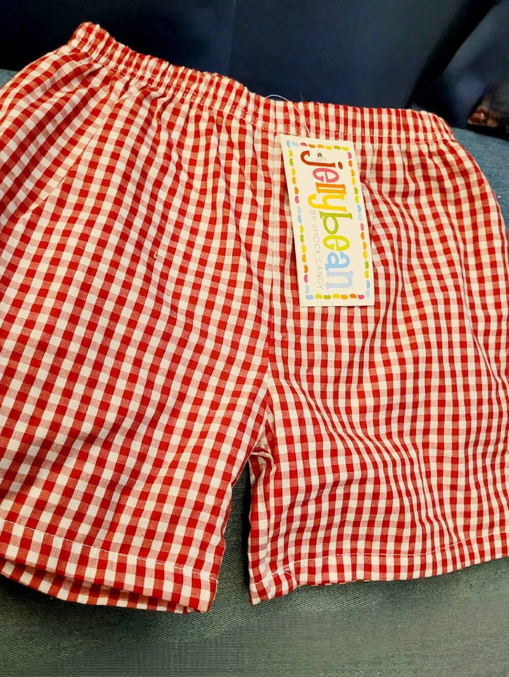 Jellybean Gingham Shorts